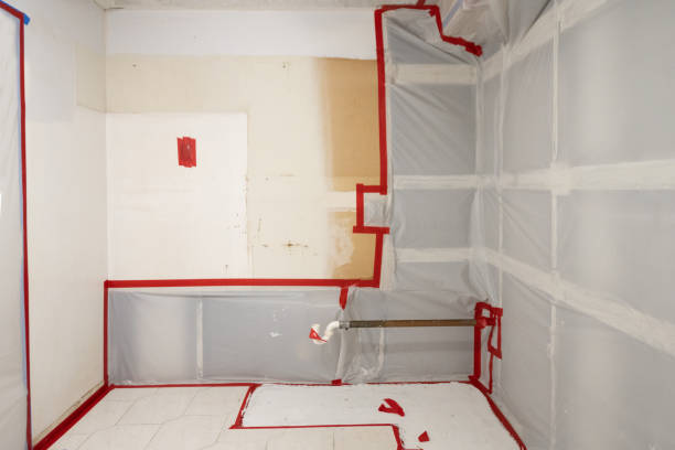  Bel Air North, MD Mold Removal Pros