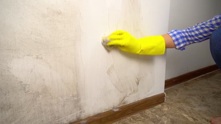 Best Biohazard Mold Removal  in Bel Air North, MD